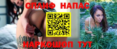 прущие грибы Анжеро-Судженск