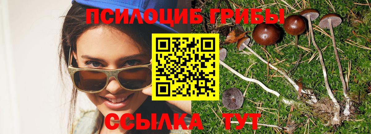Псилоцибиновые грибы Psilocybe  Вход с VPN  Ачинск 